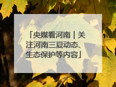 央媒看河南｜关注河南三夏动态、生态保护等内容
