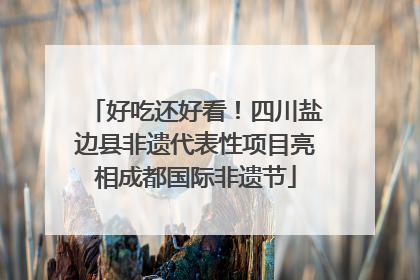 好吃还好看！四川盐边县非遗代表性项目亮相成都国际非遗节