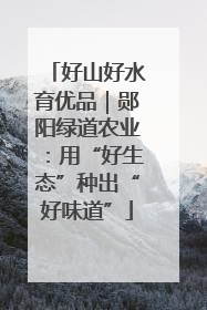 好山好水育优品｜郧阳绿道农业：用“好生态”种出“好味道”