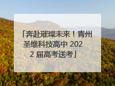 奔赴璀璨未来！青州圣维科技高中 2022 届高考送考