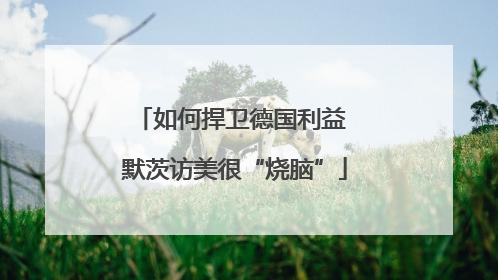如何捍卫德国利益 默茨访美很“烧脑”