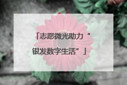 志愿微光助力“银发数字生活”