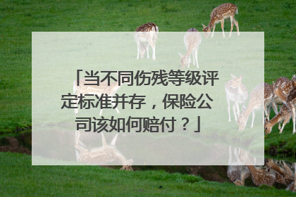 当不同伤残等级评定标准并存，保险公司该如何赔付？