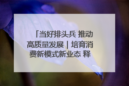 当好排头兵 推动高质量发展｜培育消费新模式新业态 释放经济增长新动能