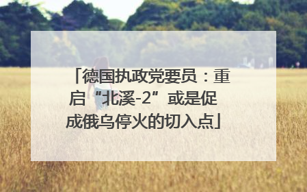 德国执政党要员：重启“北溪-2”或是促成俄乌停火的切入点