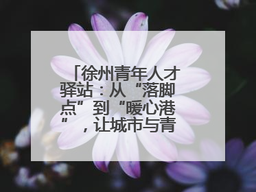 徐州青年人才驿站：从“落脚点”到“暖心港”，让城市与青年双向奔赴