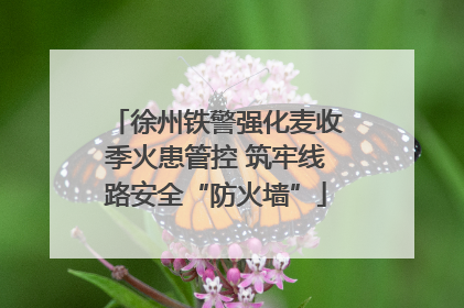 徐州铁警强化麦收季火患管控 筑牢线路安全“防火墙”