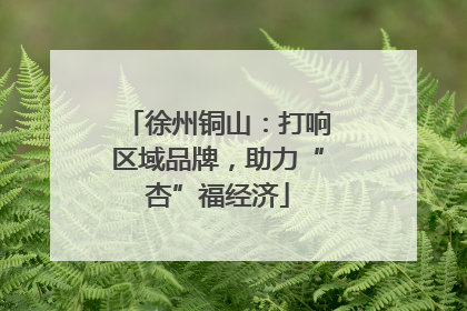 徐州铜山：打响区域品牌，助力“杏”福经济