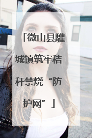 微山县驩城镇筑牢秸秆禁烧“防护网”