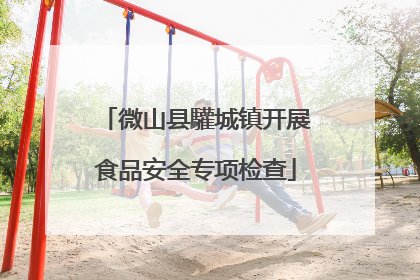微山县驩城镇开展食品安全专项检查