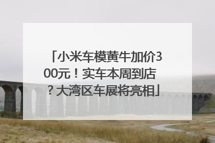 小米车模黄牛加价300元！实车本周到店？大湾区车展将亮相