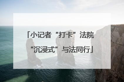 小记者“打卡”法院 “沉浸式”与法同行