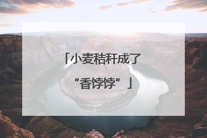 小麦秸秆成了“香饽饽”
