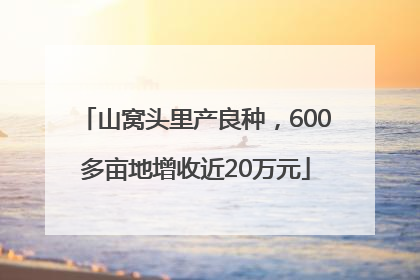 山窝头里产良种，600多亩地增收近20万元