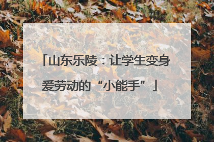 山东乐陵：让学生变身爱劳动的“小能手”