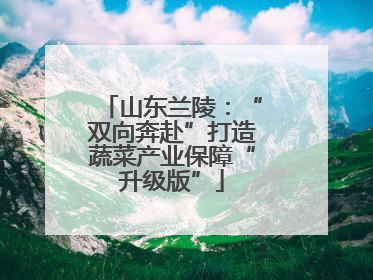 山东兰陵：“双向奔赴”打造蔬菜产业保障“升级版”