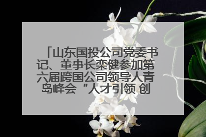 山东国投公司党委书记、董事长栾健参加第六届跨国公司领导人青岛峰会“人才引领 创新驱动”人力资源高质量发展对话会