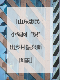 山东惠民：小绳网“织”出乡村振兴新图景