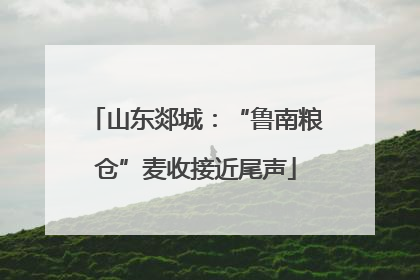 山东郯城：“鲁南粮仓”麦收接近尾声