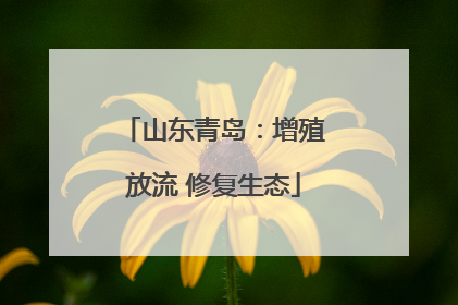 山东青岛：增殖放流 修复生态