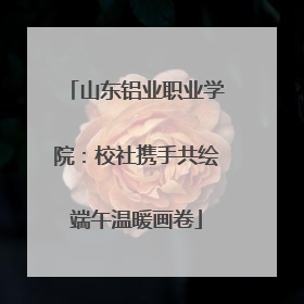 山东铝业职业学院：校社携手共绘端午温暖画卷