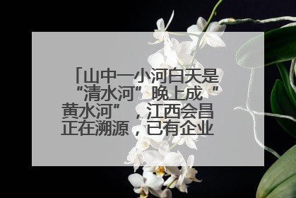 山中一小河白天是“清水河”晚上成“黄水河”，江西会昌正在溯源，已有企业被要求停工