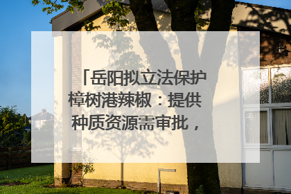 岳阳拟立法保护樟树港辣椒：提供种质资源需审批，违规最高罚5万