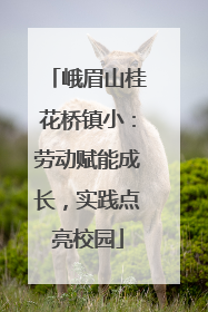峨眉山桂花桥镇小：劳动赋能成长，实践点亮校园