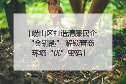 崂山区打造清廉民企“金钥匙” 解锁营商环境“优”密码