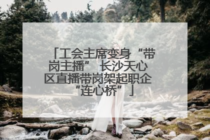 工会主席变身“带岗主播” 长沙天心区直播带岗架起职企“连心桥”