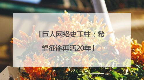 巨人网络史玉柱：希望征途再活20年