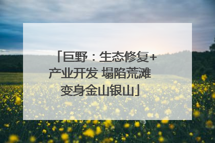 巨野：生态修复+产业开发 塌陷荒滩变身金山银山