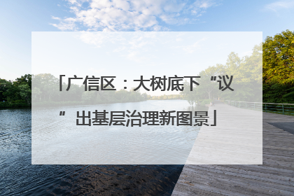 广信区：大树底下“议”出基层治理新图景