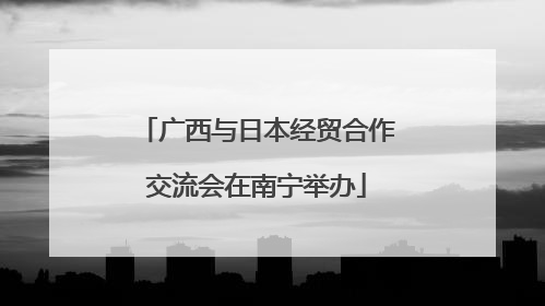 广西与日本经贸合作交流会在南宁举办