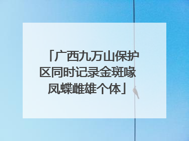 广西九万山保护区同时记录金斑喙凤蝶雌雄个体