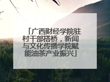 广西财经学院驻村干部搭桥，新闻与文化传播学院赋能油茶产业振兴