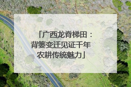 广西龙脊梯田：背篓变迁见证千年农耕传统魅力