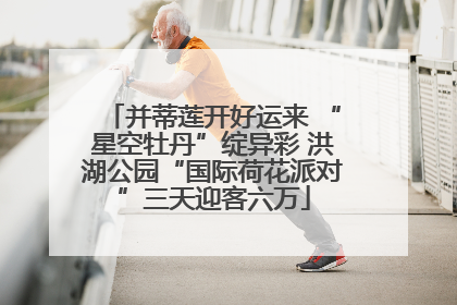 并蒂莲开好运来 “星空牡丹”绽异彩 洪湖公园“国际荷花派对”三天迎客六万