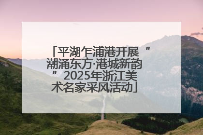 平湖乍浦港开展“潮涌东方·港城新韵”2025年浙江美术名家采风活动