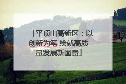 平顶山高新区：以创新为笔 绘就高质量发展新图景