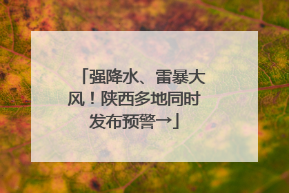 强降水、雷暴大风！陕西多地同时发布预警→