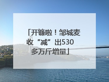 开镰啦！邹城麦收“减”出530多万斤增量