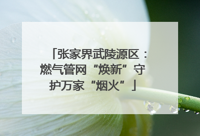 张家界武陵源区：燃气管网“焕新”守护万家“烟火”