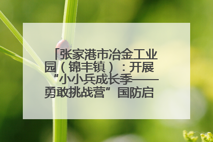 张家港市冶金工业园（锦丰镇）：开展“小小兵成长季——勇敢挑战营”国防启蒙教育活动