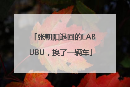 张朝阳退回的LABUBU，换了一辆车