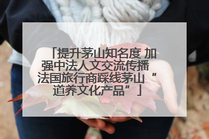 提升茅山知名度 加强中法人文交流传播 法国旅行商踩线茅山“道养文化产品”