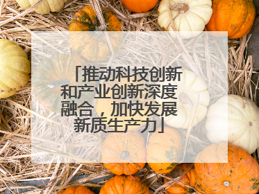 推动科技创新和产业创新深度融合，加快发展新质生产力