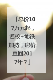 总价107万元起，名校+地铁加持，房价重回2017年？