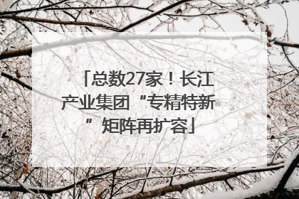 总数27家！长江产业集团“专精特新”矩阵再扩容