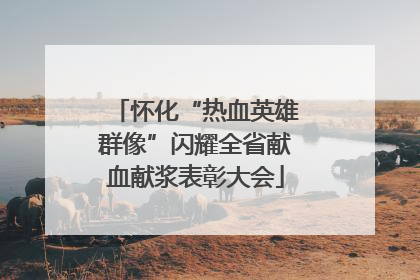 怀化“热血英雄群像”闪耀全省献血献浆表彰大会